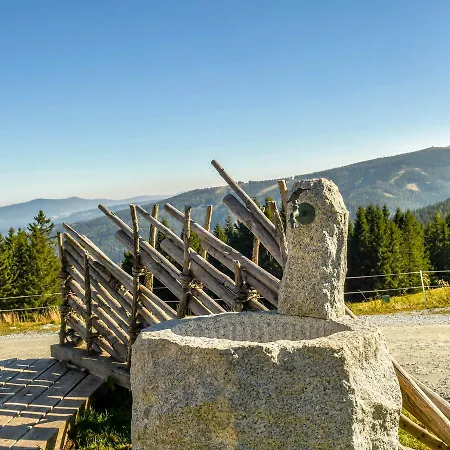 Chalet Panoramahutte Tatil Evi Hirschegg (Styria)